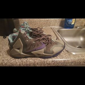 Lebronz sz 9.5